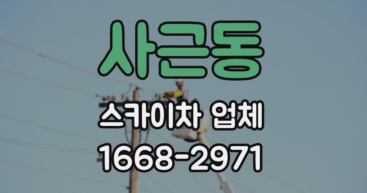사근동 스카이차 업체