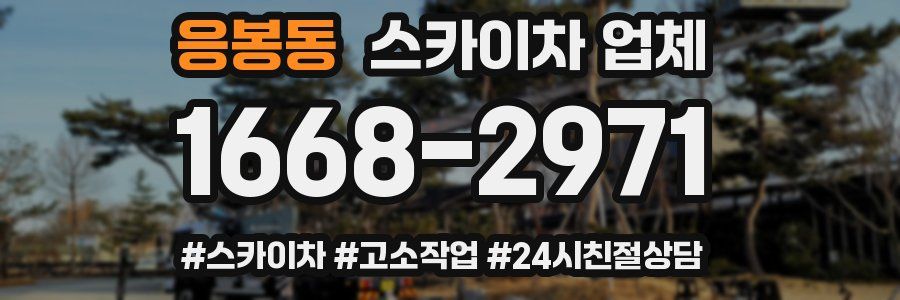 응봉동 스카이차 업체