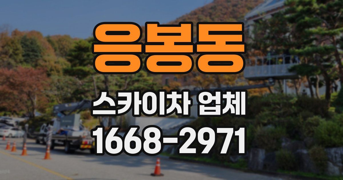 응봉동 스카이차 업체