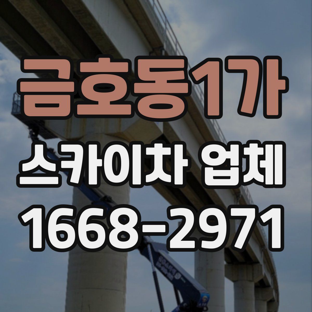 금호동1가 스카이차 업체