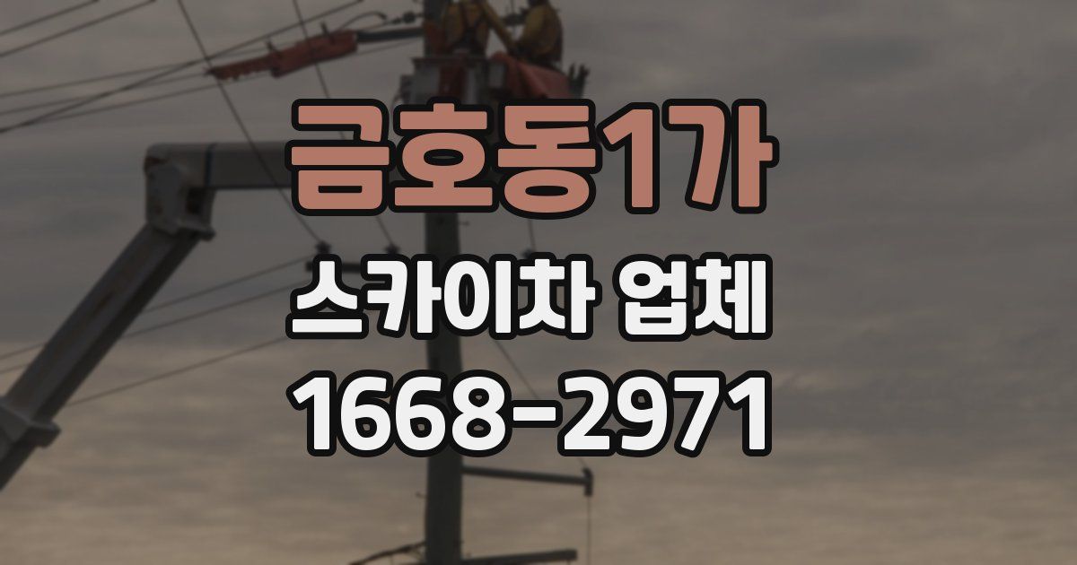 금호동1가 스카이차 업체