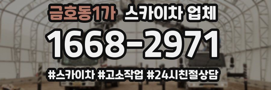 금호동1가 스카이차 업체