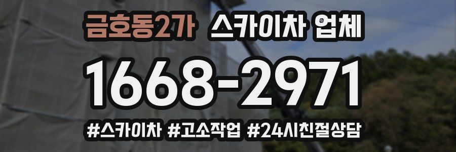 금호동2가 스카이차 업체