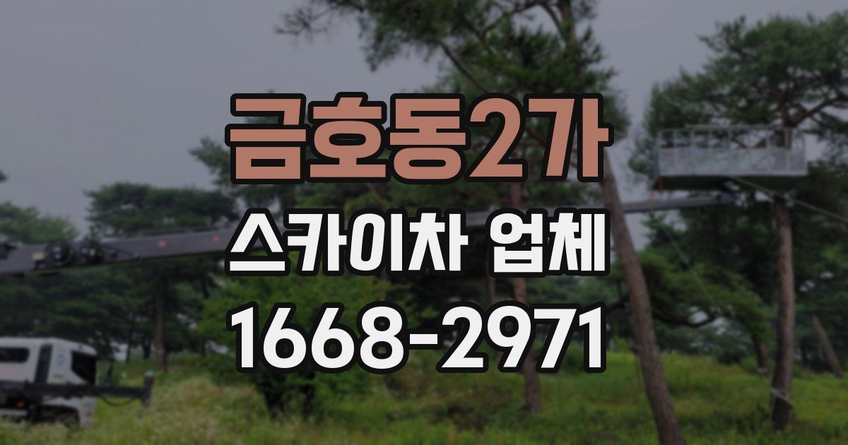 금호동2가 스카이차 업체