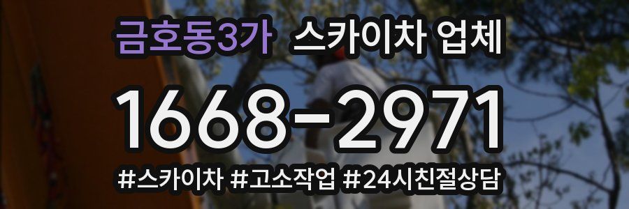금호동3가 스카이차 업체