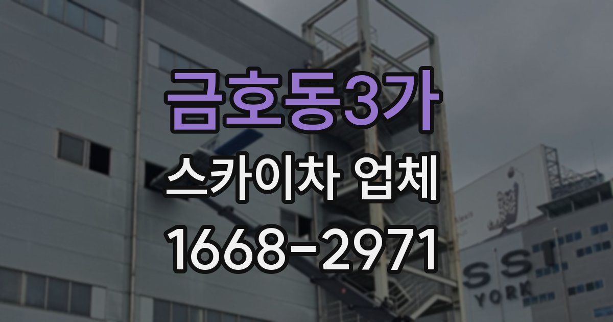 금호동3가 스카이차 업체