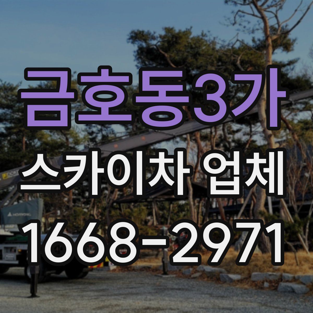 금호동3가 스카이차 업체