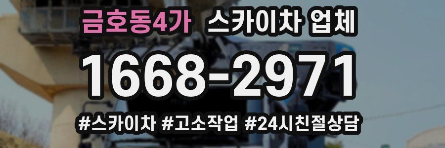금호동4가 스카이차 업체
