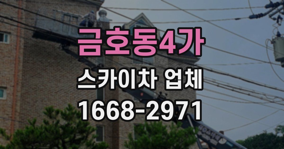 금호동4가 스카이차 업체