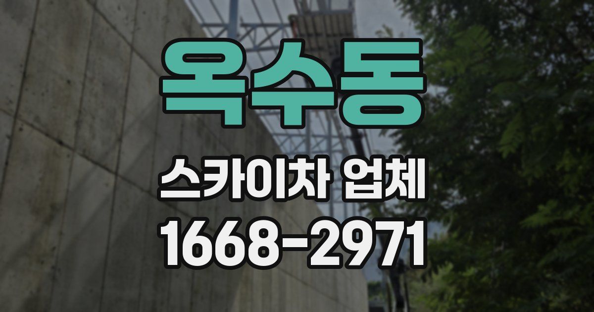 옥수동 스카이차 업체