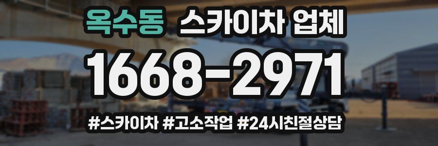 옥수동 스카이차 업체