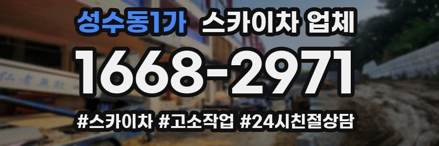 성수동1가 스카이차 업체