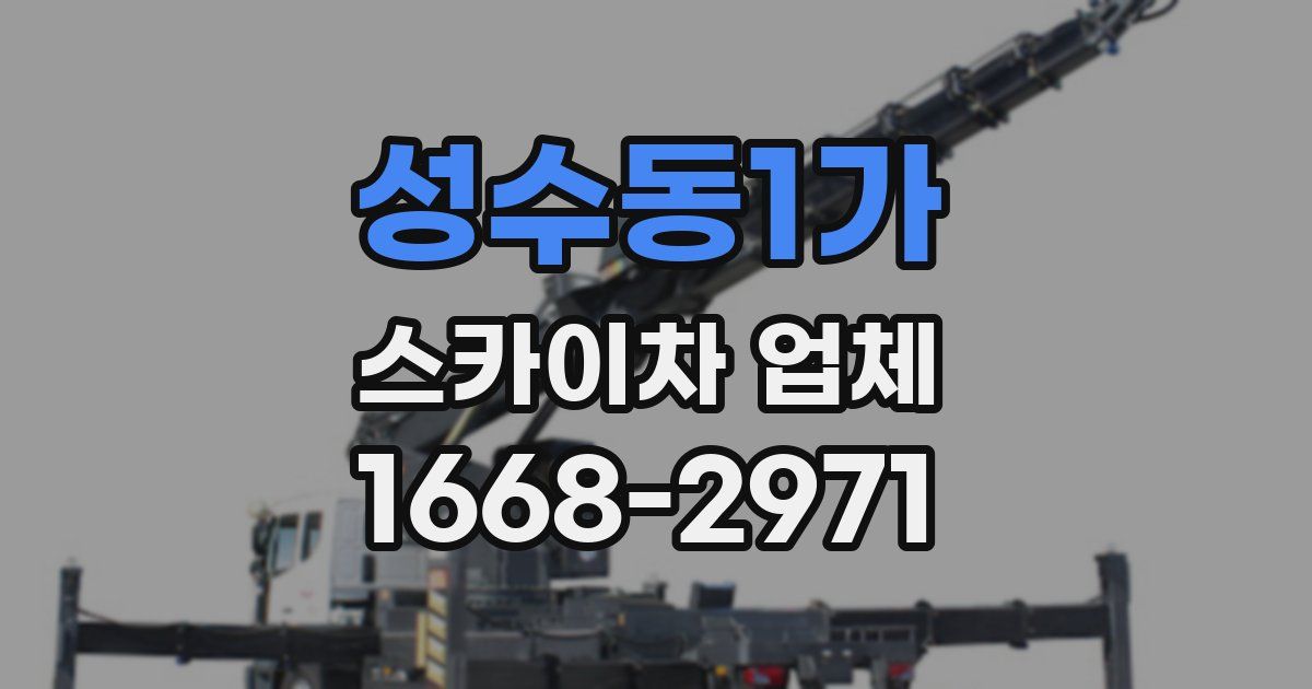 성수동1가 스카이차 업체