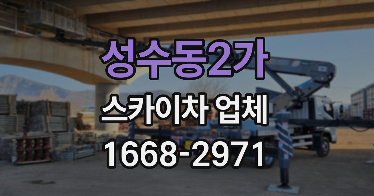 성수동2가 스카이차 업체