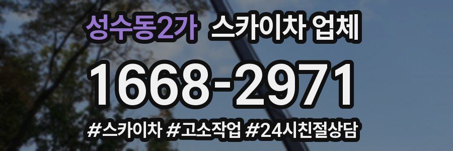 성수동2가 스카이차 업체