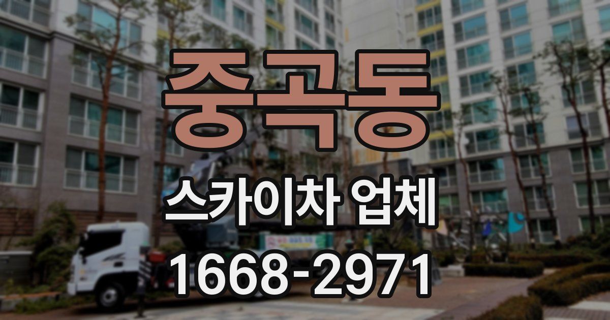 중곡동 스카이차 업체