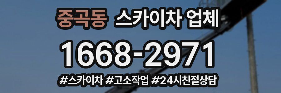 중곡동 스카이차 업체