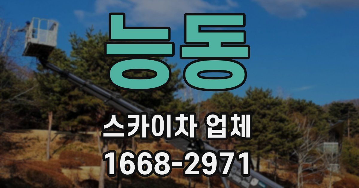 능동 스카이차 업체