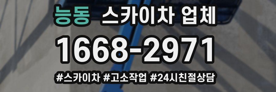 능동 스카이차 업체