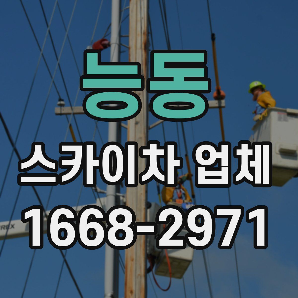 능동 스카이차 업체