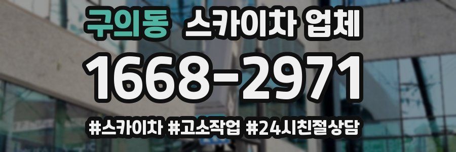 구의동 스카이차 업체