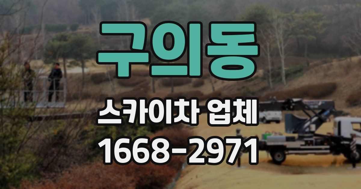 구의동 스카이차 업체