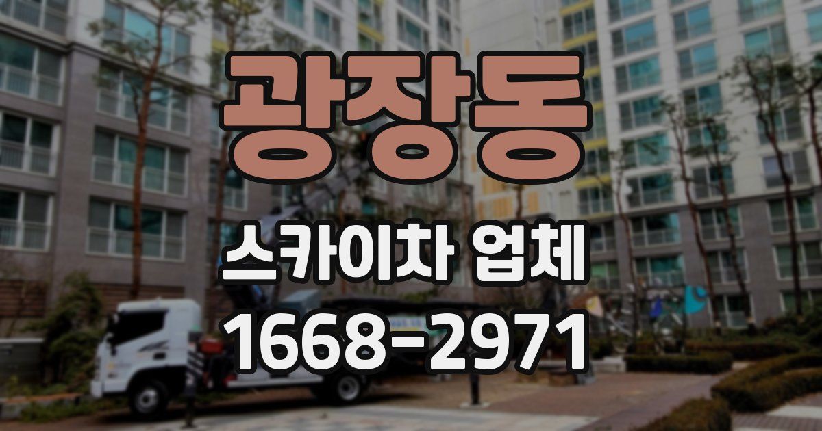 광장동 스카이차 업체