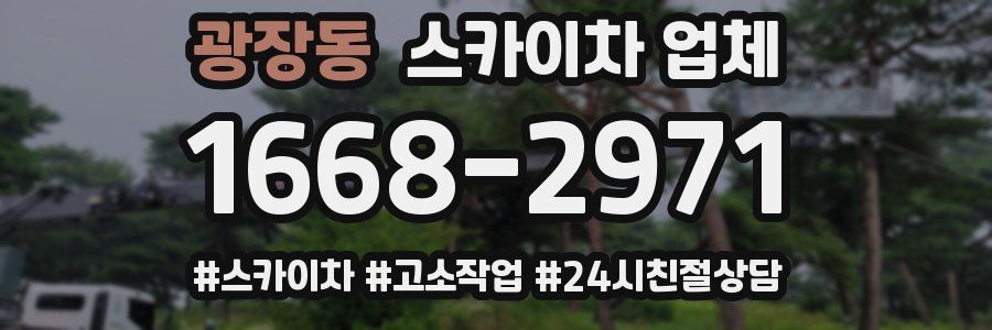 광장동 스카이차 업체