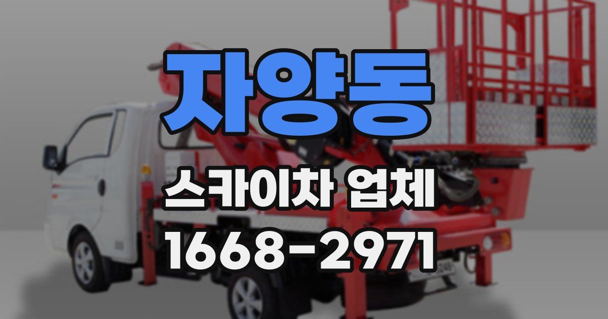 자양동 스카이차 업체