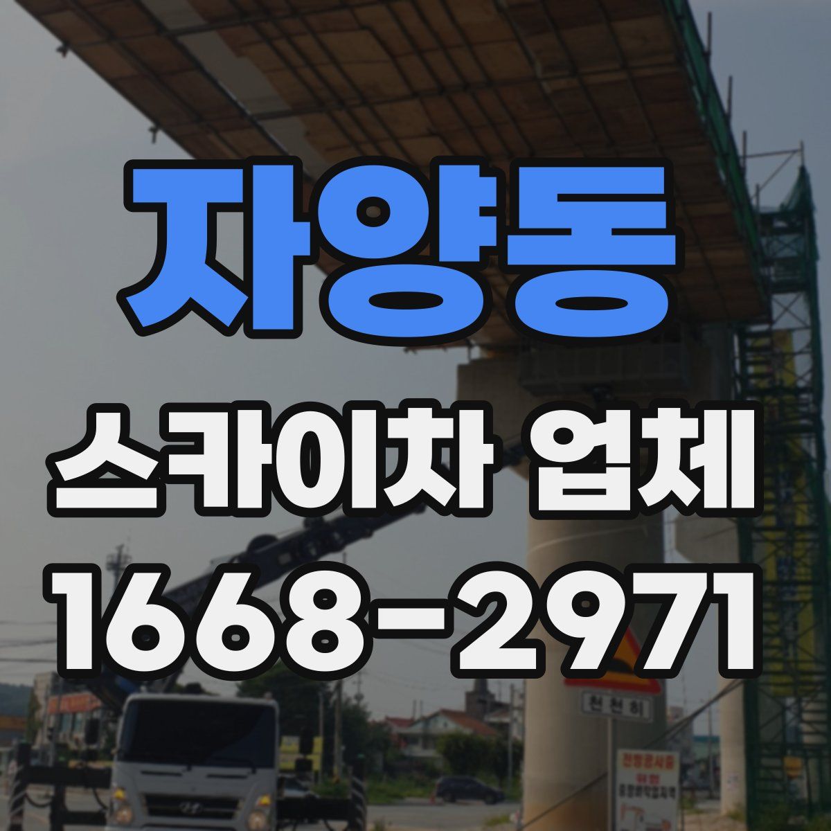 자양동 스카이차 업체