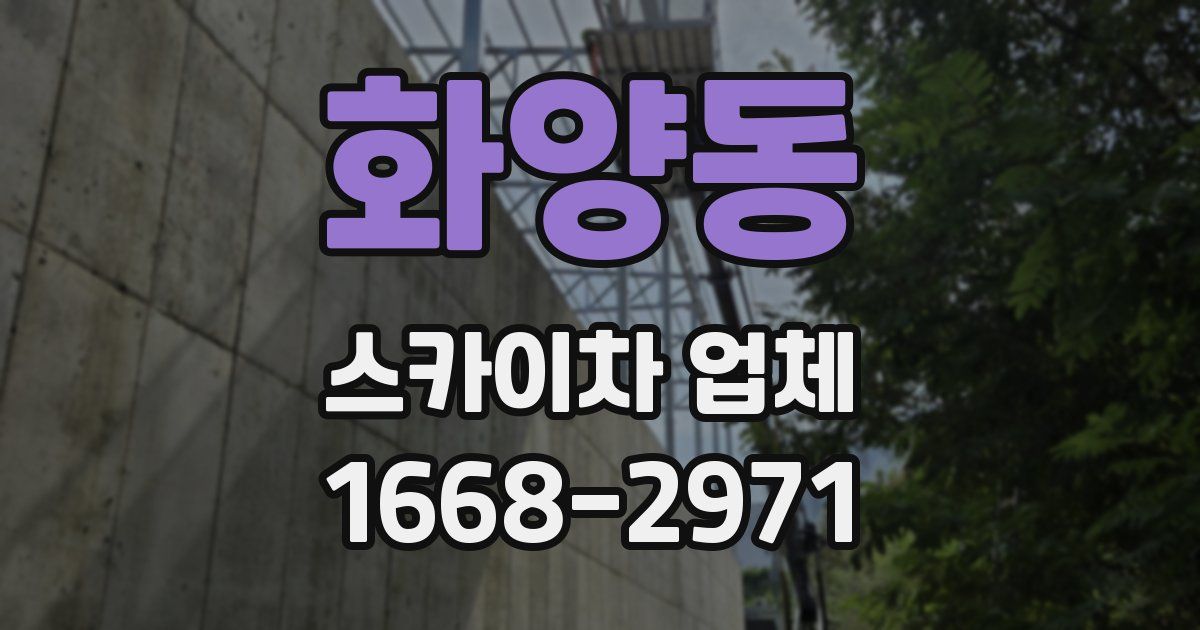 화양동 스카이차 업체