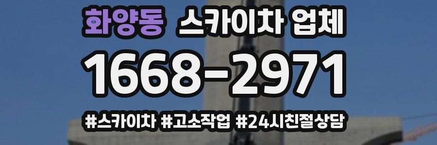 화양동 스카이차 업체