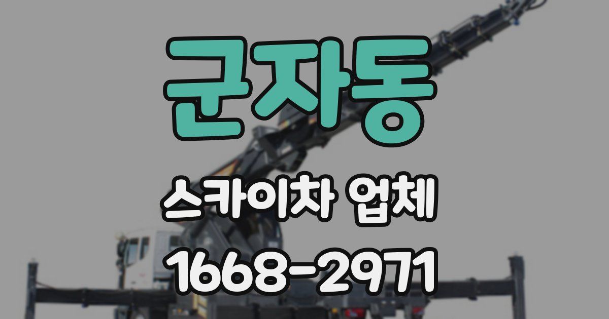 군자동 스카이차 업체