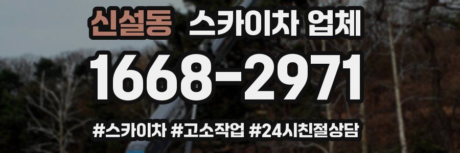 신설동 스카이차 업체