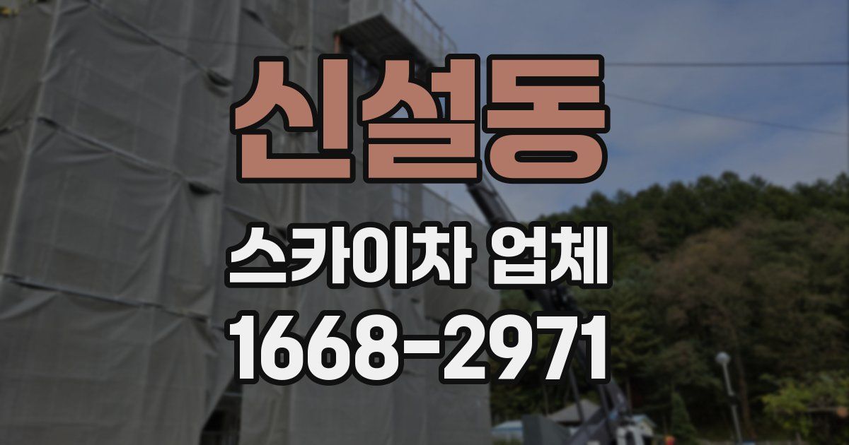 신설동 스카이차 업체