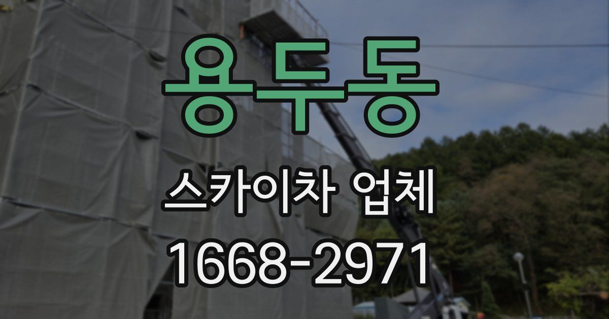 용두동 스카이차 업체