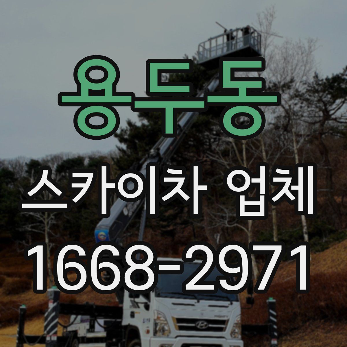 용두동 스카이차 업체