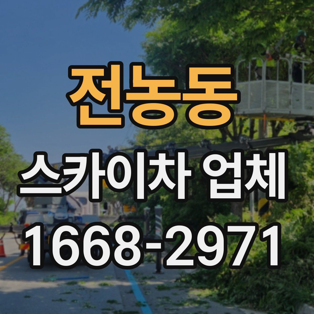 전농동 스카이차 업체