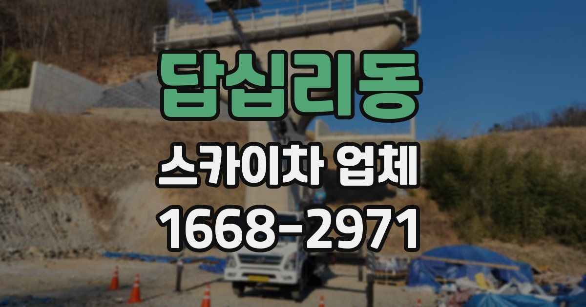 답십리동 스카이차 업체