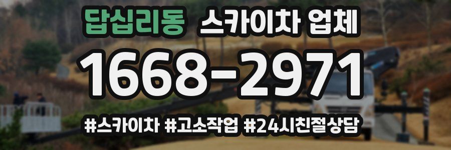 답십리동 스카이차 업체