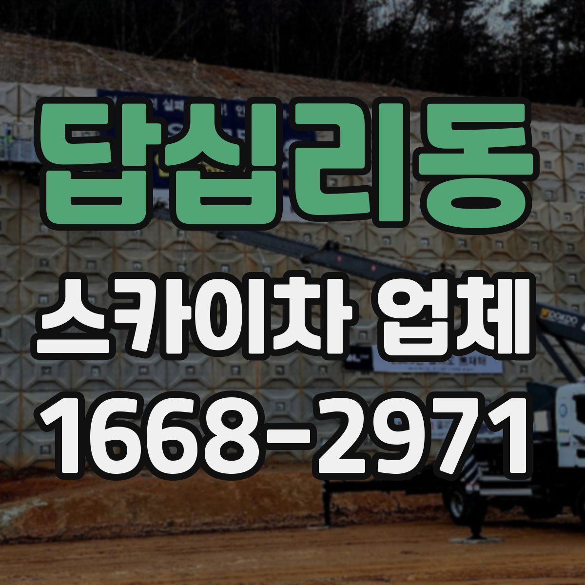 답십리동 스카이차 업체