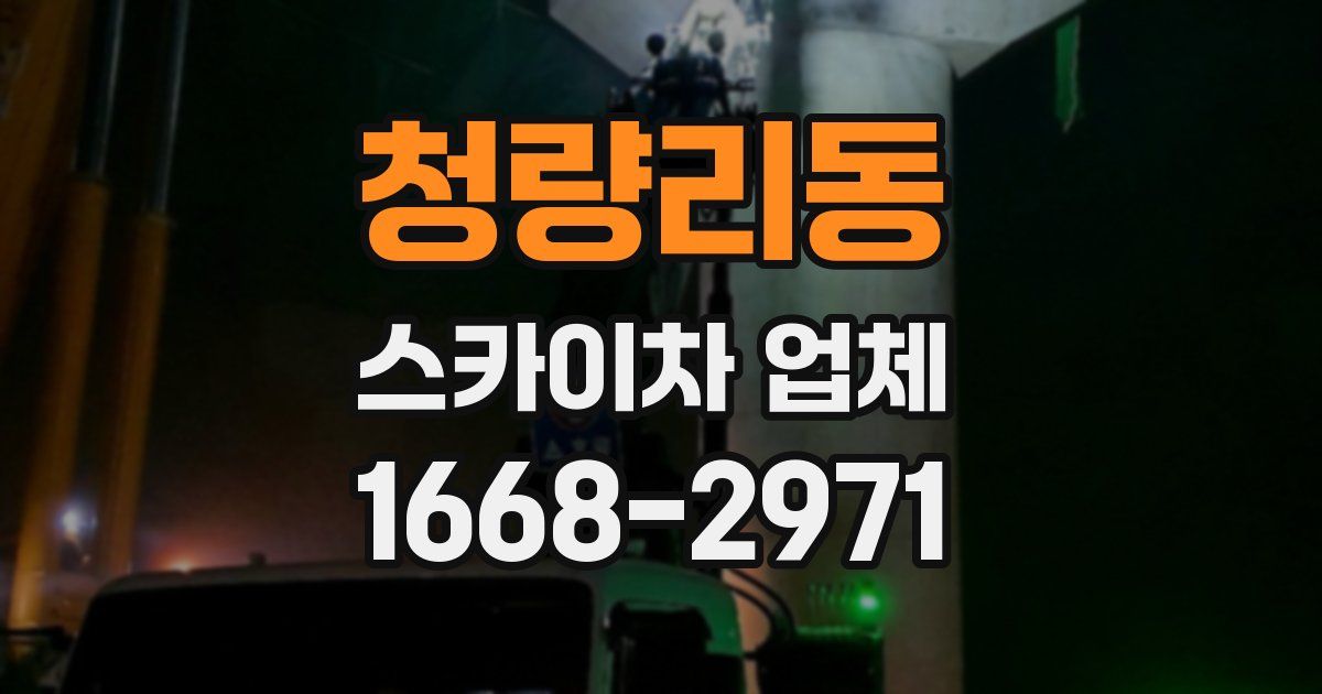 청량리동 스카이차 업체