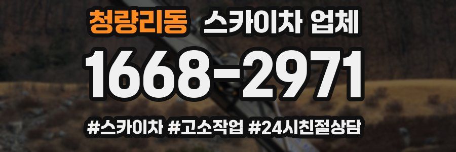 청량리동 스카이차 업체