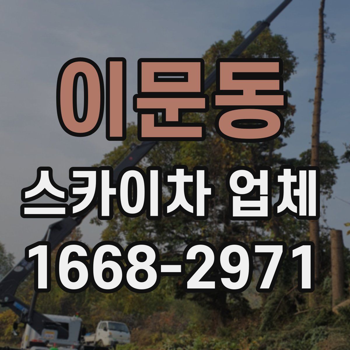 이문동 스카이차 업체