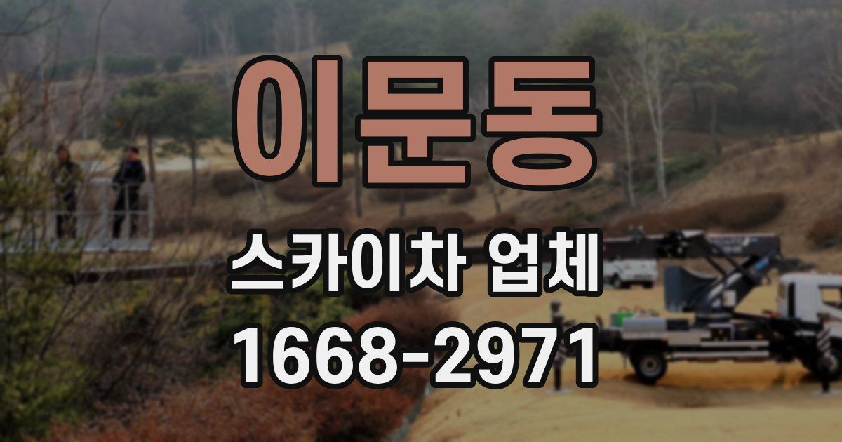 이문동 스카이차 업체