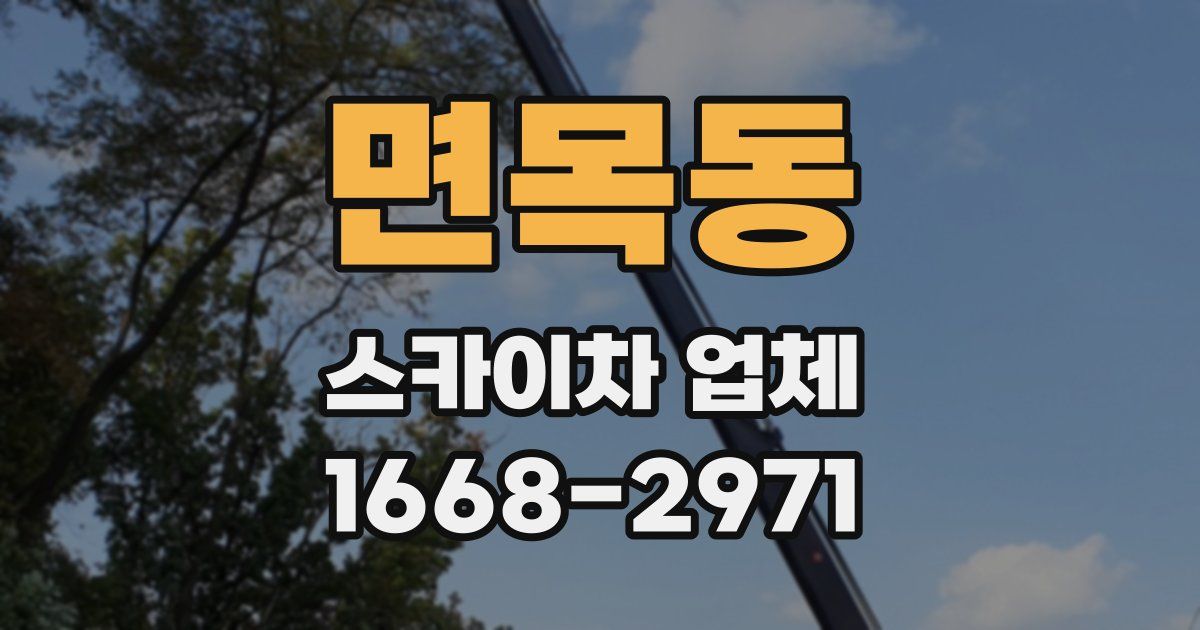 면목동 스카이차 업체