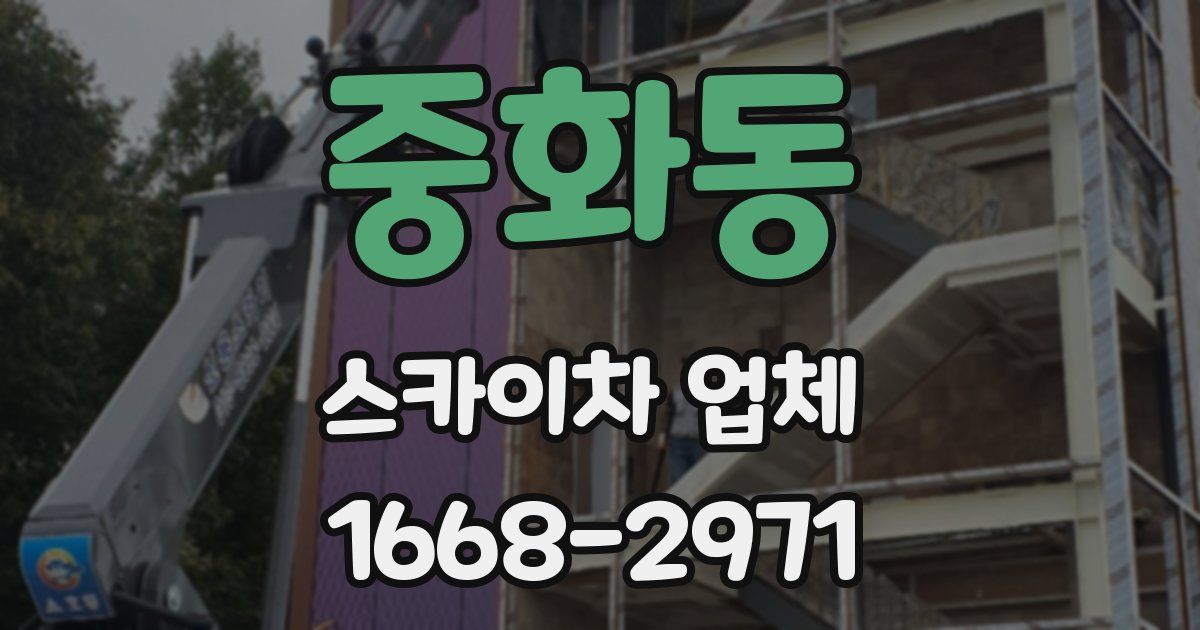 중화동 스카이차 업체