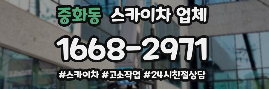 중화동 스카이차 업체