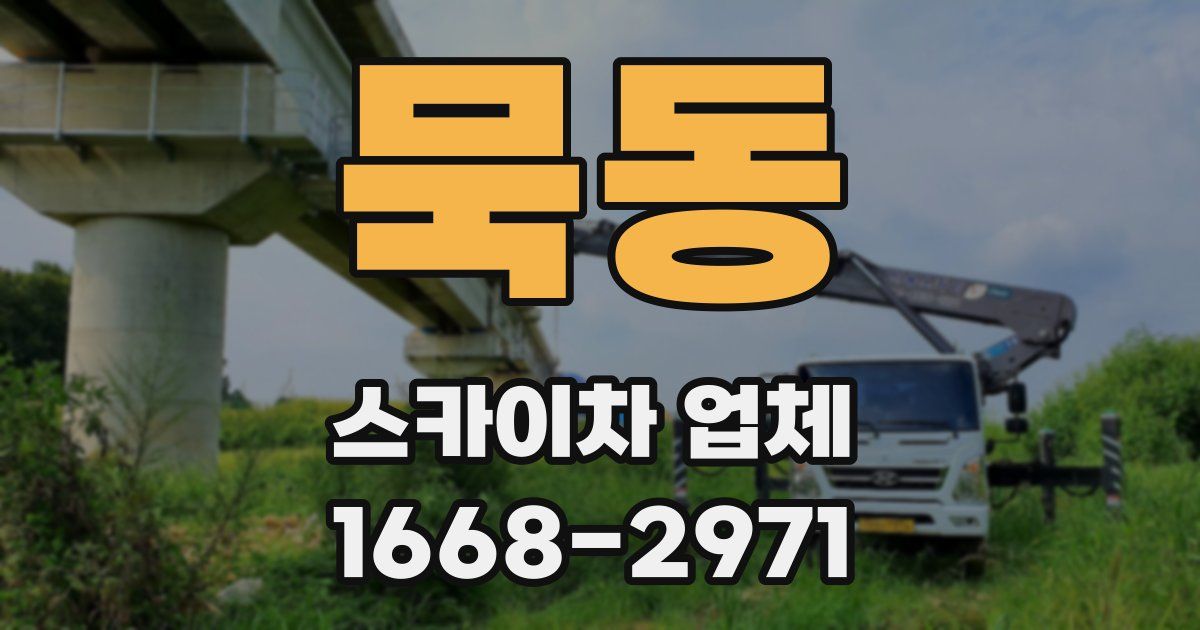 묵동 스카이차 업체