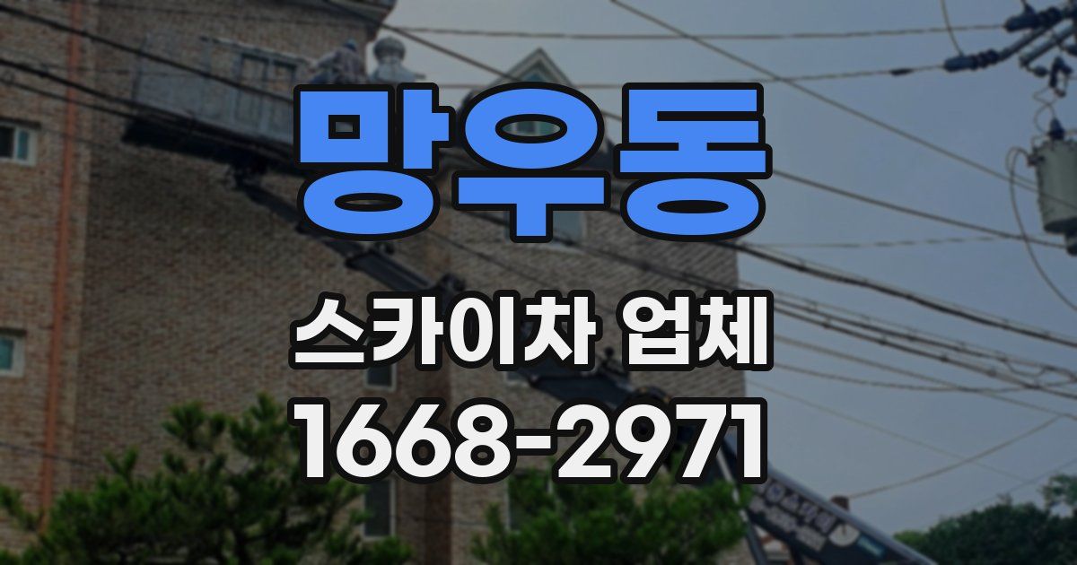 망우동 스카이차 업체
